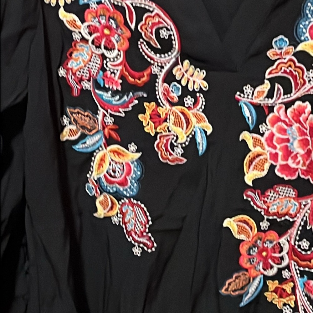 Savanna Jane Black V-Neck Blouse with Multicolor Floral Embroidery - Picture 3 of 12
